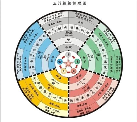 五術是什麼|道教五術都是什麼